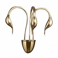 бра lightstar cigno collo 751632 в Санкт-Петербурге