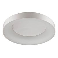 потолочный светодиодный светильник odeon light sole 4062/80cl в Санкт-Петербурге