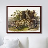 картина: jaguar, 1841г. в Санкт-Петербурге