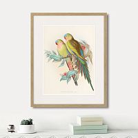 картина: love parrots, 1850г. в Санкт-Петербурге