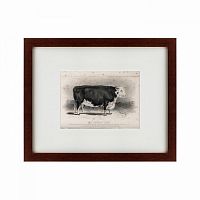 картина: a hereford bull, 1849 в Санкт-Петербурге