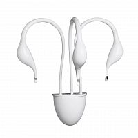 бра lightstar cigno collo wt 751636 в Санкт-Петербурге