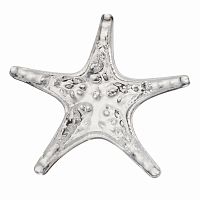 декоратиное блюдо starfish в Санкт-Петербурге