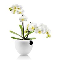 горшок для орхидеи orchid pot белый в Санкт-Петербурге