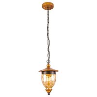 подвесной светильник arte lamp catena a6711sp-1br в Санкт-Петербурге