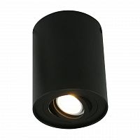 потолочный светильник arte lamp a5644pl-1bk в Санкт-Петербурге