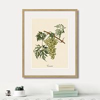 картина juicy fruit lithography №13, 1870 г., 42х52 см в Санкт-Петербурге