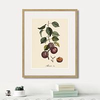 картина: juicy fruit lithography №6, 1870г. в Санкт-Петербурге