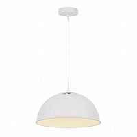 подвесной светильник arte lamp buratto a8173sp-1wh в Санкт-Петербурге