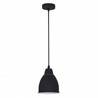 подвесной светильник arte lamp braccio a2054sp-1bk в Санкт-Петербурге