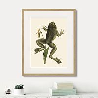 картина: big jumping frog, 1745г. в Санкт-Петербурге