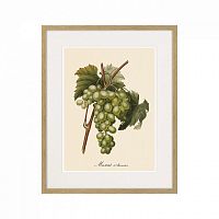 картина juicy fruit lithography №13-1, 1870 г., 42х52 см в Санкт-Петербурге