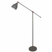 торшер arte lamp braccio a2054pn-1gy в Санкт-Петербурге