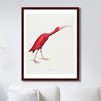 картина: scarlet ibis, 1827г. в Санкт-Петербурге