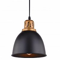 подвесной светильник arte lamp eurica a4245sp-1bk в Санкт-Петербурге