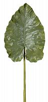 декор giant taro leaf в Санкт-Петербурге