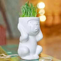 горшок для растений eco игнорик в Санкт-Петербурге