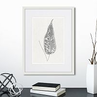 картина: the fern collection №5 в Санкт-Петербурге