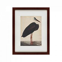 картина: black stork in a landscape, индия, 1780 в Санкт-Петербурге