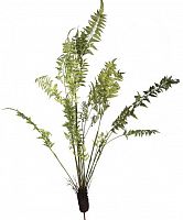 декор fern plant в Санкт-Петербурге