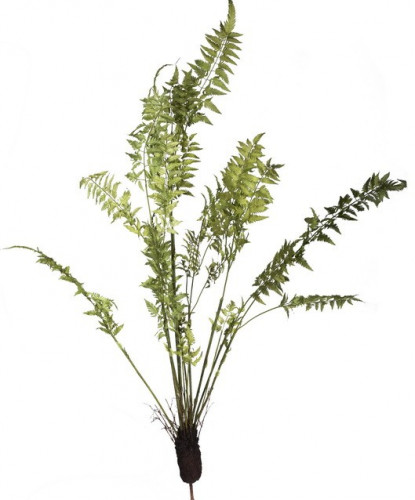 декор fern plant в Санкт-Петербурге