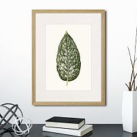 картина: single leaf of a plant №1, 1865г. в Санкт-Петербурге