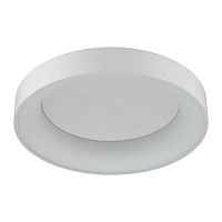 потолочный светодиодный светильник odeon light sole 4062/50cl в Санкт-Петербурге